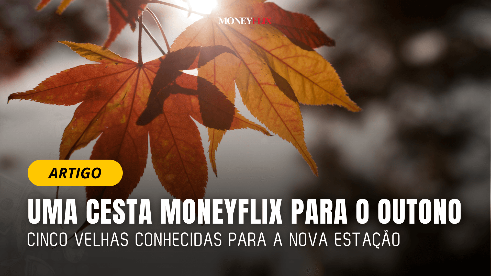 Uma Cesta MoneyFlix para o Outono